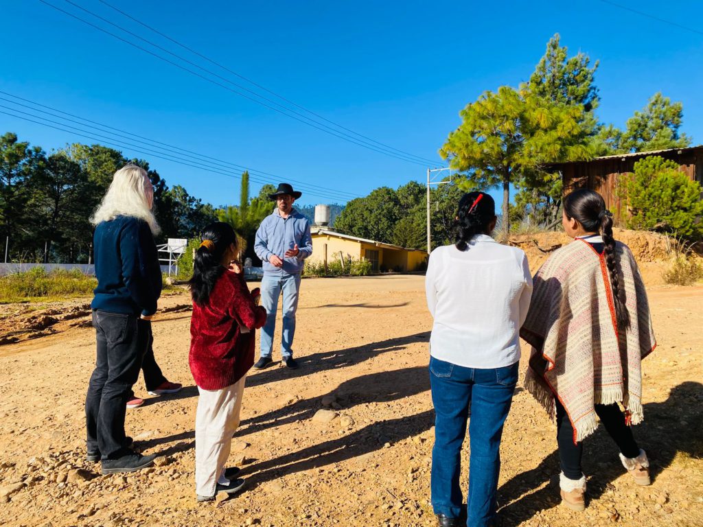 WhatsApp Image 2025-11-19 at 3.26.14 PM